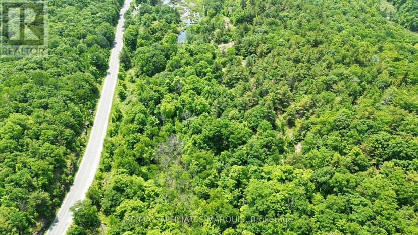 938 Crow Lake Road, Frontenac, photo 3