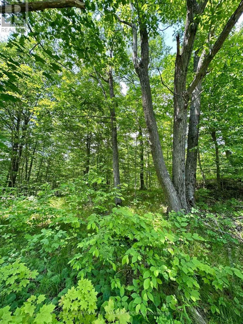 938 Crow Lake Road, Frontenac, photo 7