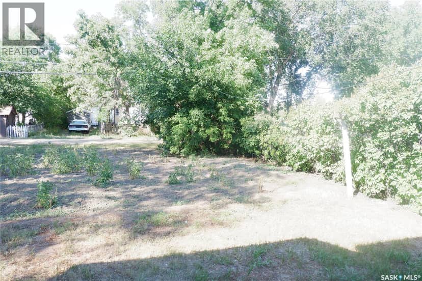 311 7th AVENUE E, Assiniboia, photo 5