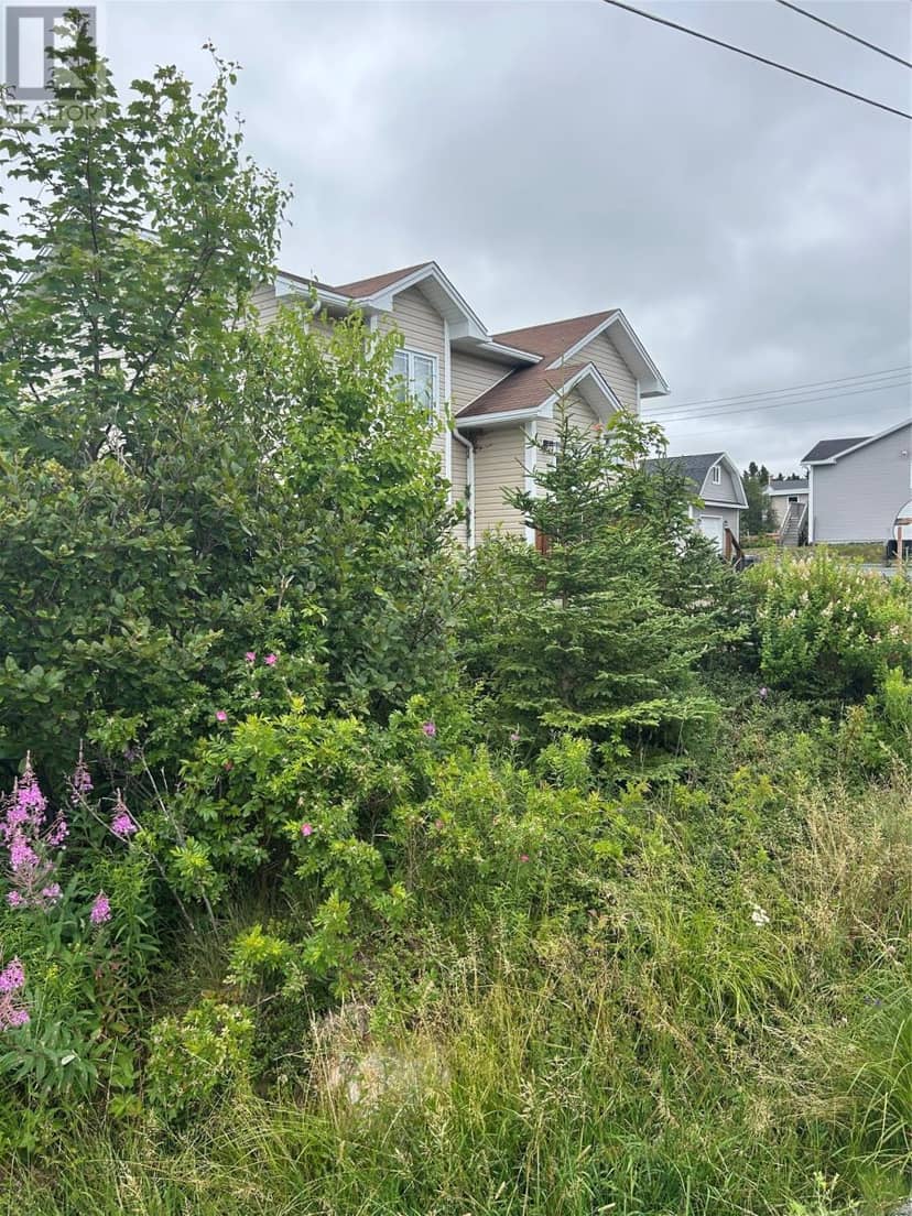 32 Dawes Place, Conception Bay South, photo 3