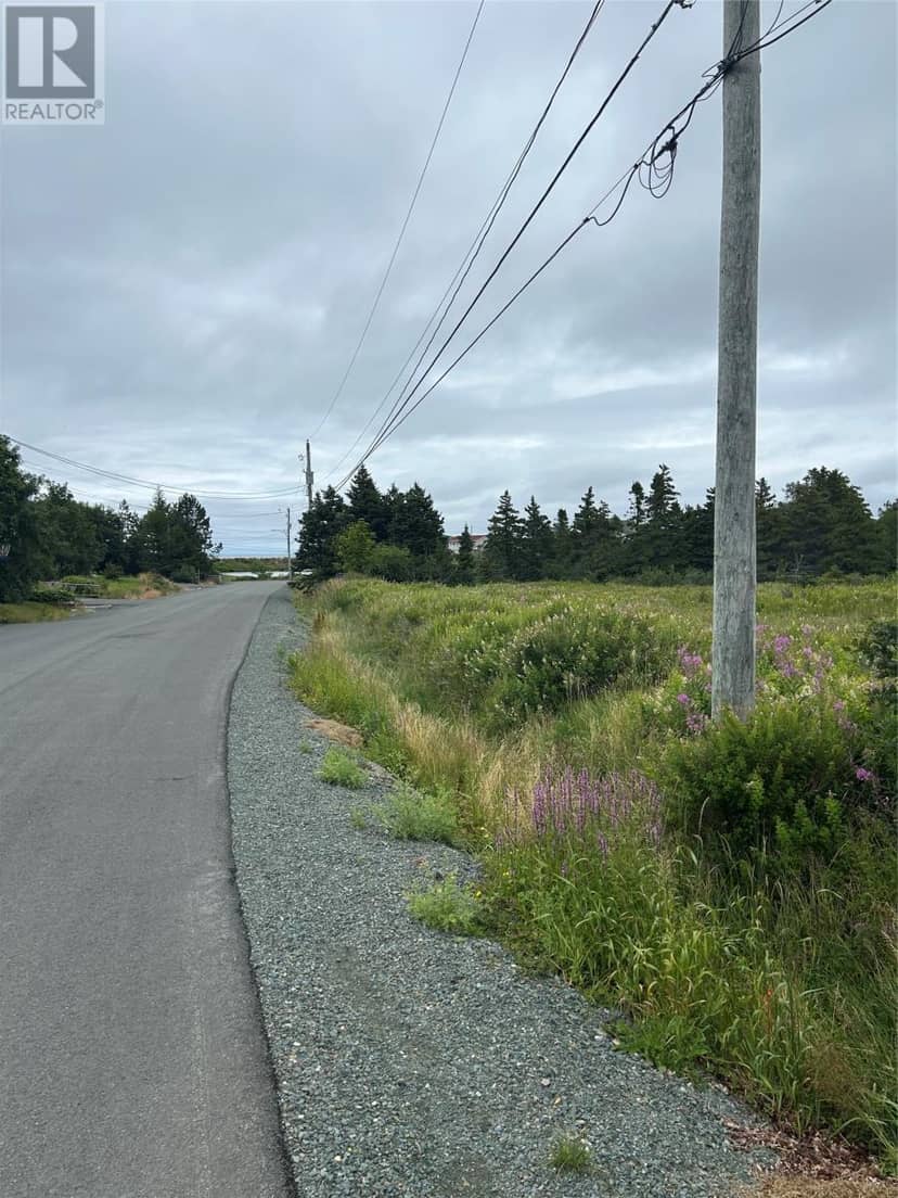 32 Dawes Place, Conception Bay South, photo 4