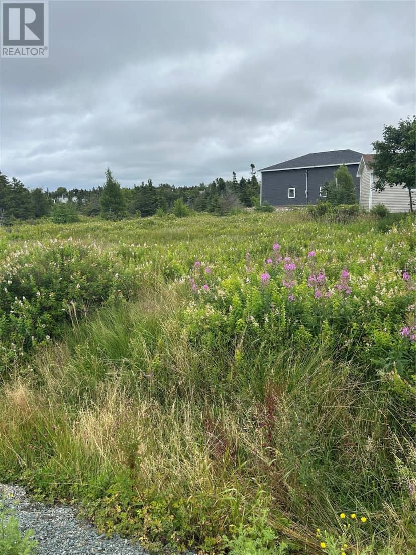 32 Dawes Place, Conception Bay South, photo 5