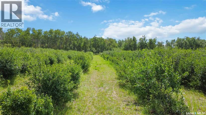 Corman Park River View 63 Acres — photo 7 of 17