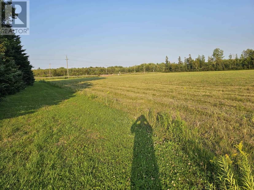 Acreage Route 2 — photo 15 of 40