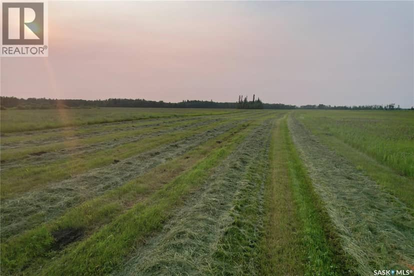 Kohlman Ranch near Big River, SK — photo 11 of 33