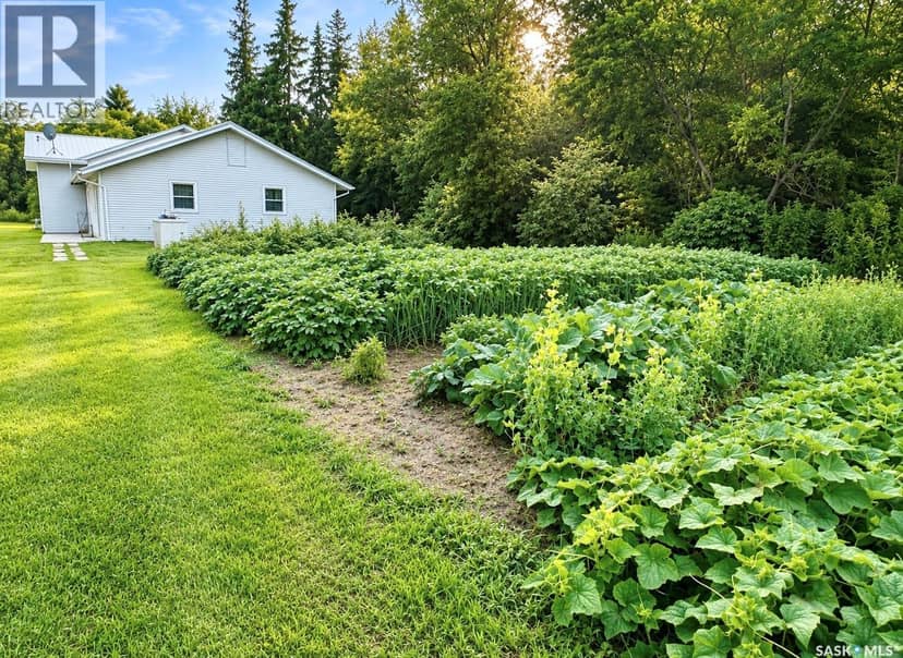 Kohlman Ranch near Big River, SK — photo 16 of 33