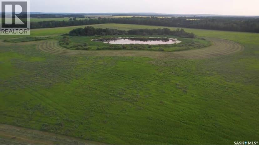 Kohlman Ranch near Big River, SK — photo 15 of 33