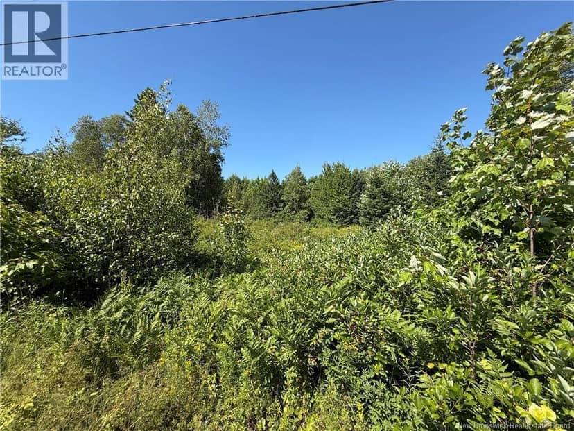 Lot Cherry Hill Road — photo 4 of 14