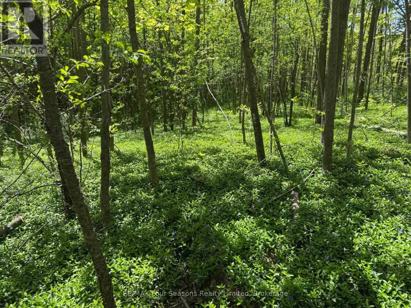 Pt Lt 12 Part 1 18 Grey Road, Meaford, photo 5