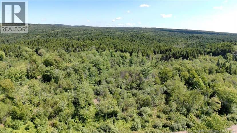 Old Gardner Creek Road — photo 1 of 10