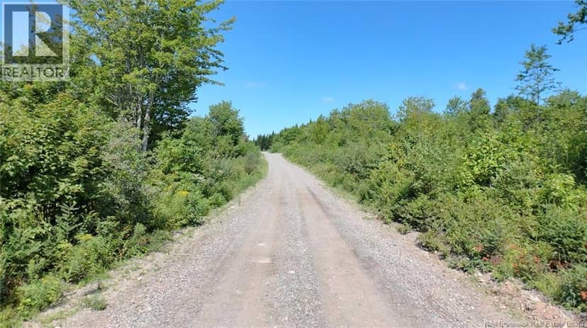 Old Gardner Creek Road — photo 3 of 10