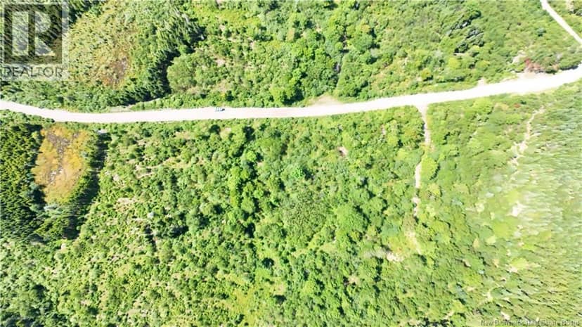 Old Gardner Creek Road — photo 5 of 10