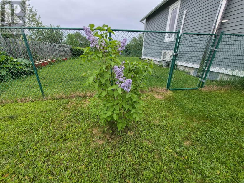3 STEADYVIEW Drive — photo 11 of 31