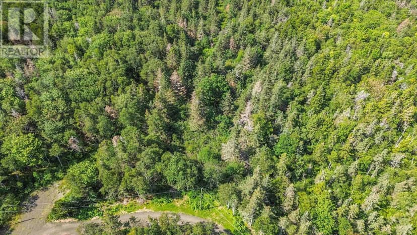 Lot 1A Hampton Mountain Road — photo 11 of 16