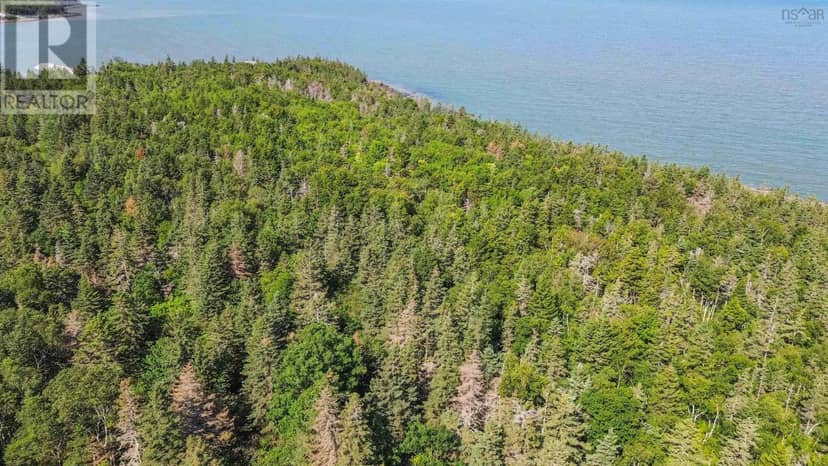 Lot 1A Hampton Mountain Road — photo 12 of 16