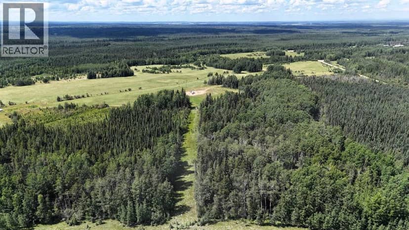 NE-16-53-11-W5 Range Road 113 — photo 14 of 17