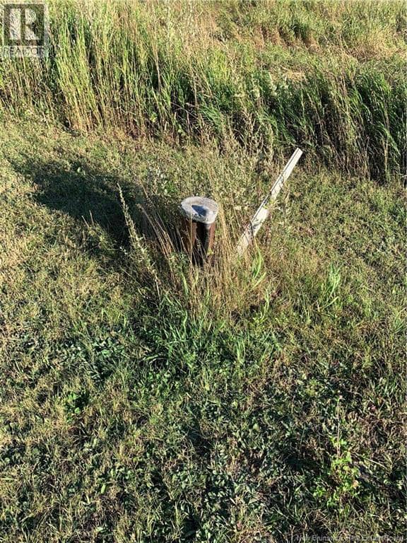 94 Ch Des Ancetres, Saint-Simon, photo 7