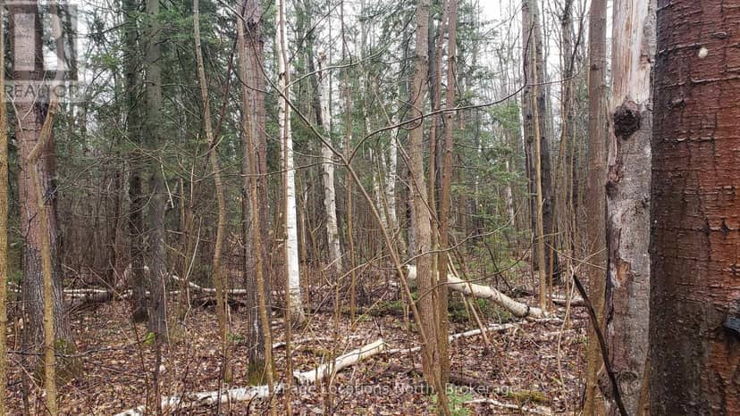 6125 Second Concession Road, Clearview, photo 4