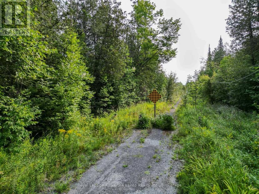 Lt 4 Dutch Line Road W, Trent Lakes, photo 5