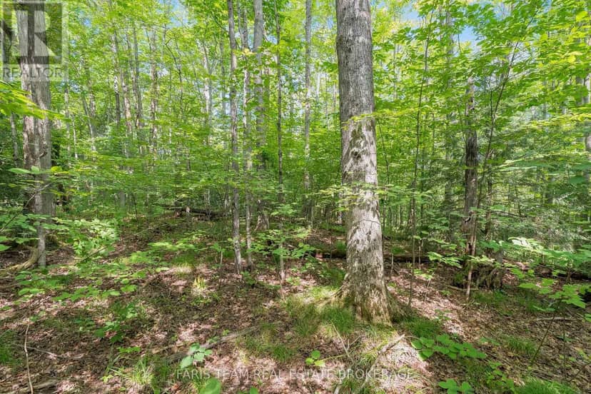 5609 Line 4 N, Oro-Medonte, photo 7