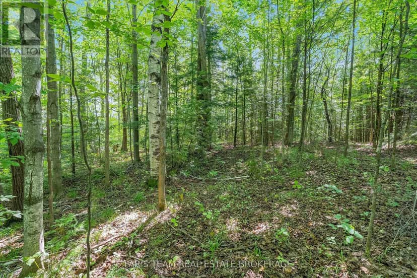5609 Line 4 N, Oro-Medonte, photo 8