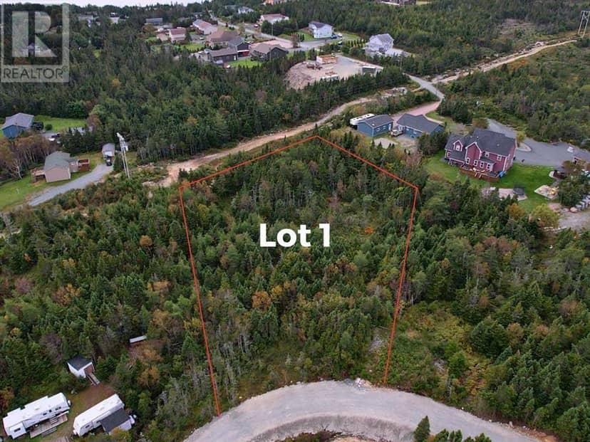 1 Beaver Pond Road, Cape Broyle, photo 3