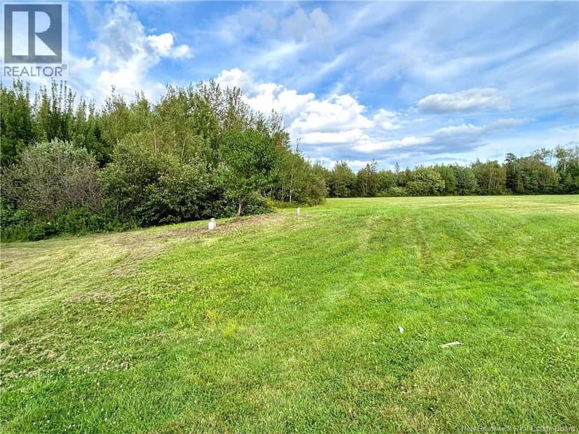 5201 Route 117, Baie-Sainte-Anne, photo 4