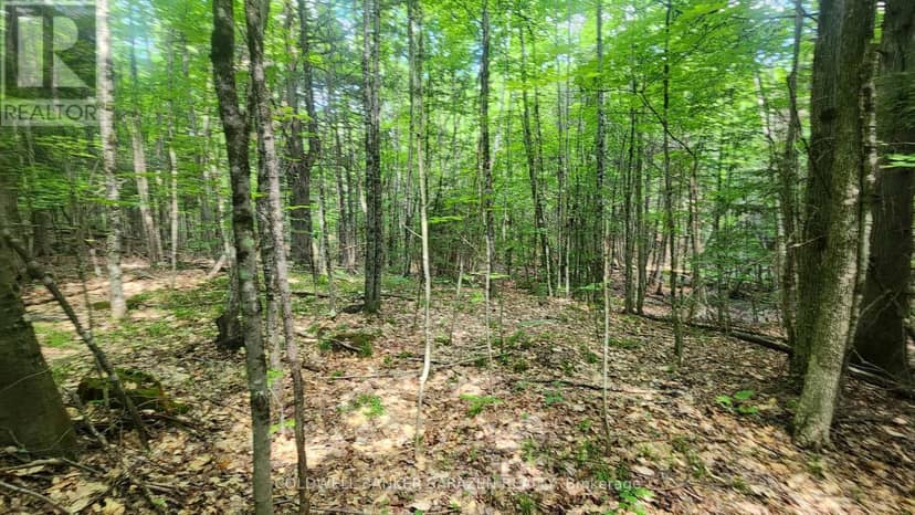 00 Canaan Road — photo 1 of 16