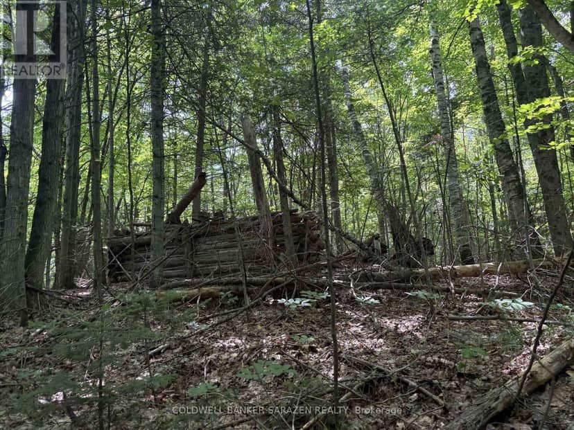 00 Canaan Road — photo 15 of 16