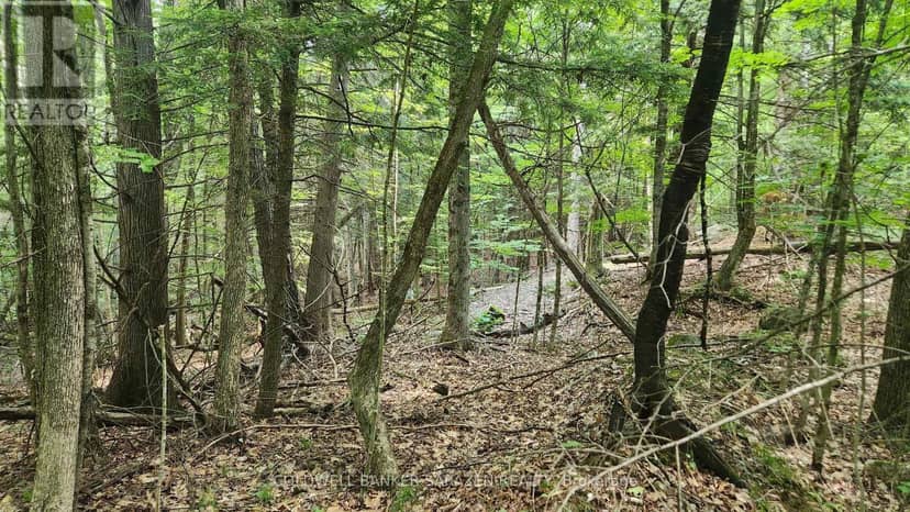 00 Canaan Road — photo 3 of 16