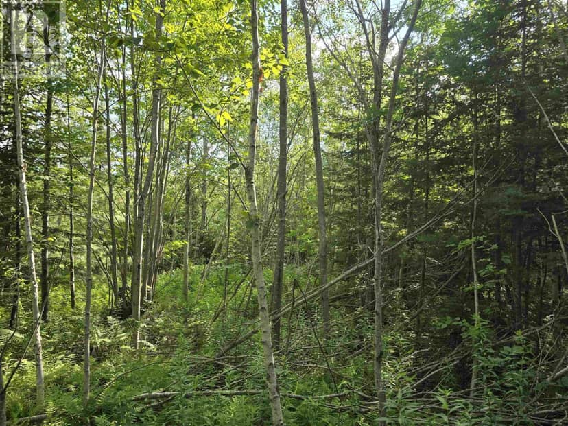 Lot 2 Highway 101 — photo 16 of 23