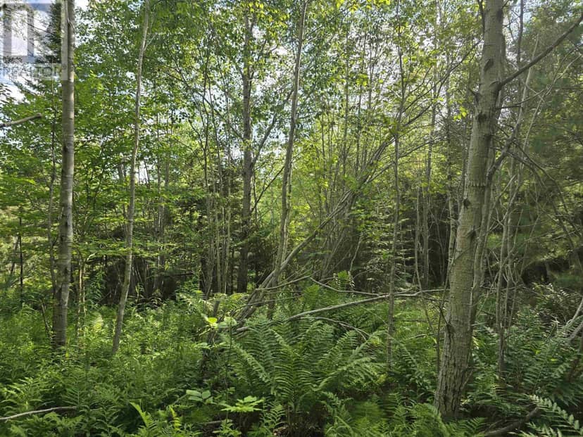 Lot 2 Highway 101 — photo 18 of 23