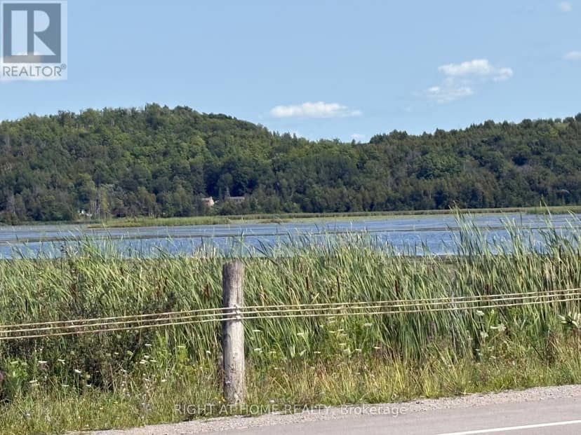 122 King Street W, Kawartha Lakes, photo 8