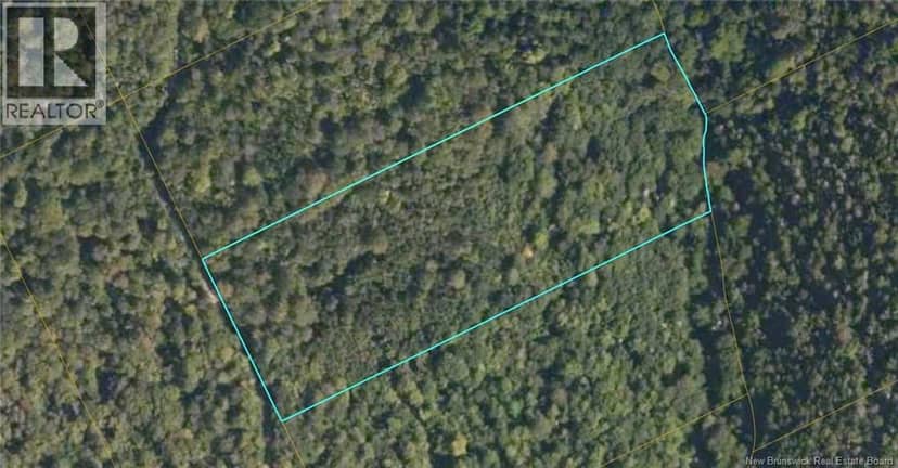 Lot 2 Mcdoo Road — photo 2 of 2