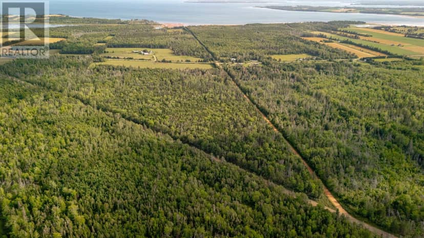 Lot 25-1 Mill Road, DeGros Marsh, photo 6