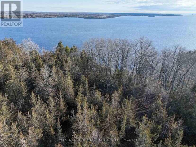 695 County Road 7, Prince Edward County, photo 5