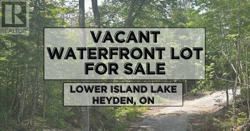 000 Lower Island Lake RD — photo 1 of 9