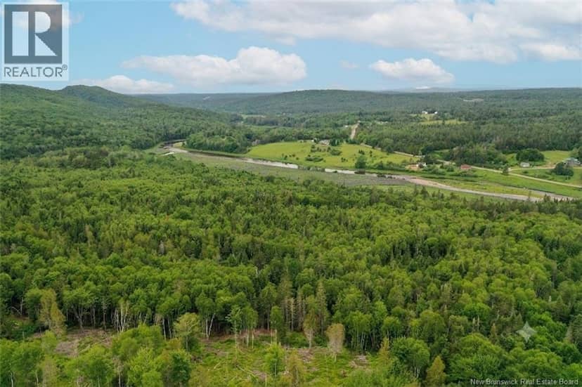 198 acres Damascus Road — photo 8 of 24