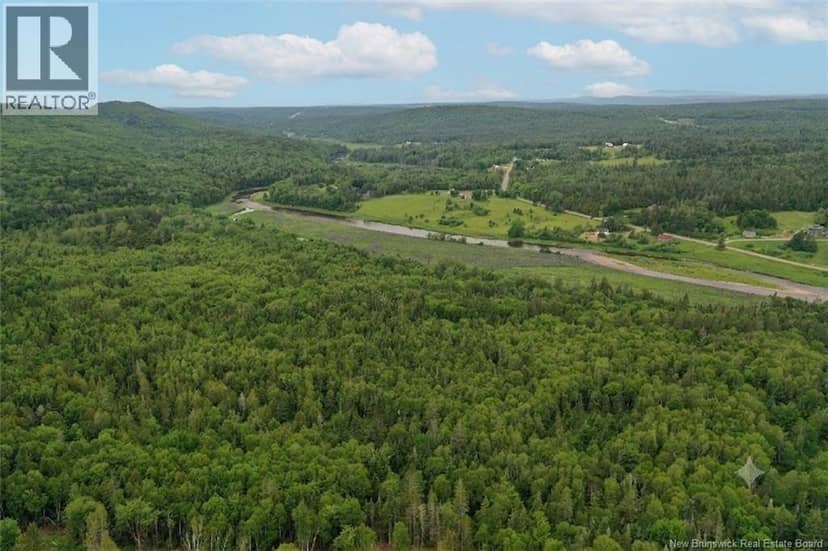 198 acres Damascus Road — photo 20 of 24
