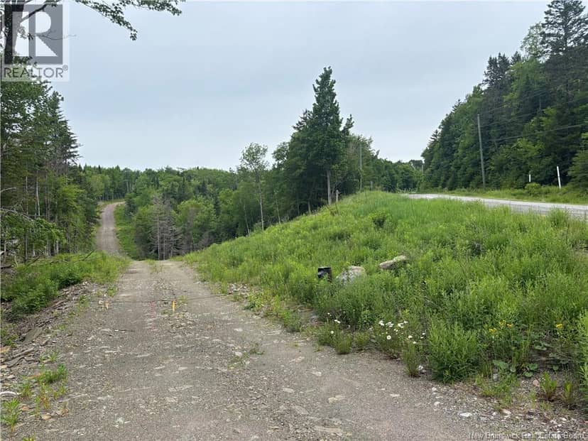 198 acres Damascus Road — photo 14 of 24