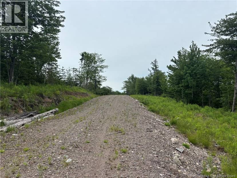 198 acres Damascus Road — photo 17 of 24
