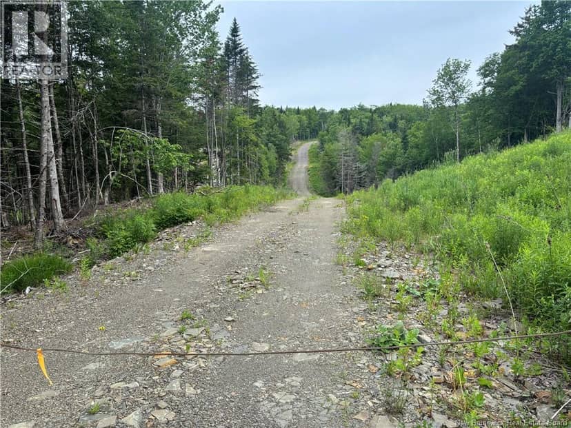 198 acres Damascus Road — photo 13 of 24