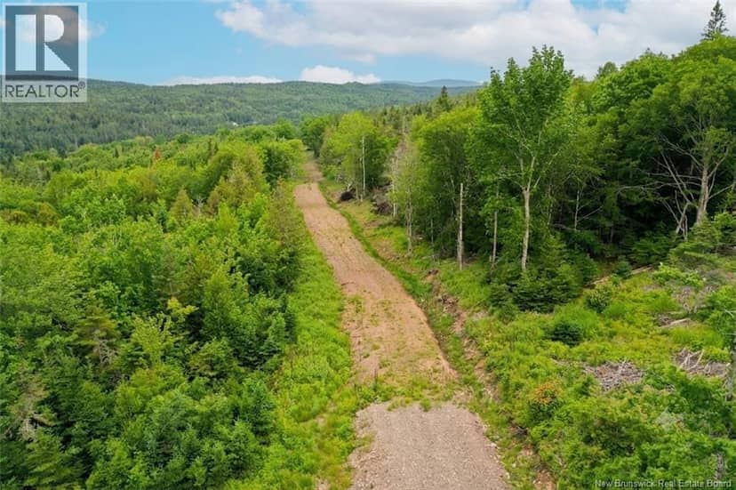 198 acres Damascus Road — photo 5 of 24