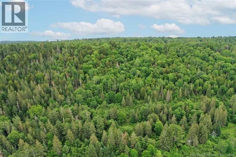 198 acres Damascus Road — photo 21 of 24
