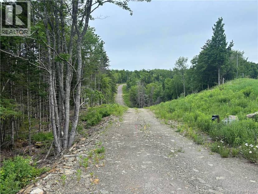 198 acres Damascus Road — photo 7 of 24