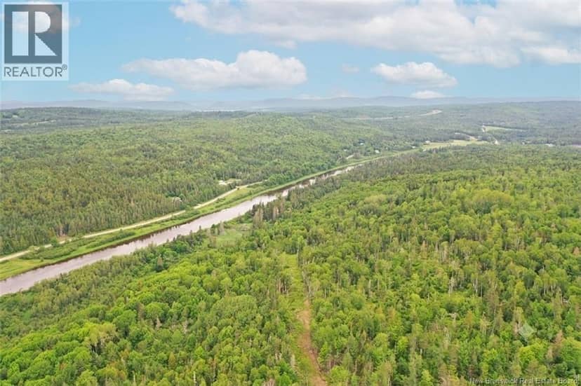 198 acres Damascus Road — photo 3 of 24