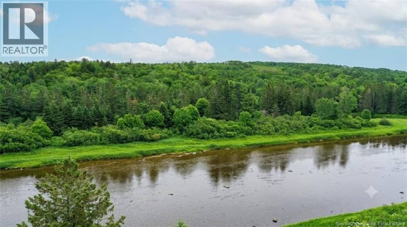 198 acres Damascus Road — photo 4 of 24