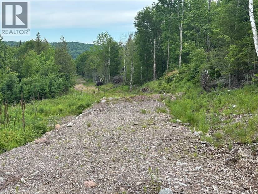 198 acres Damascus Road — photo 11 of 24