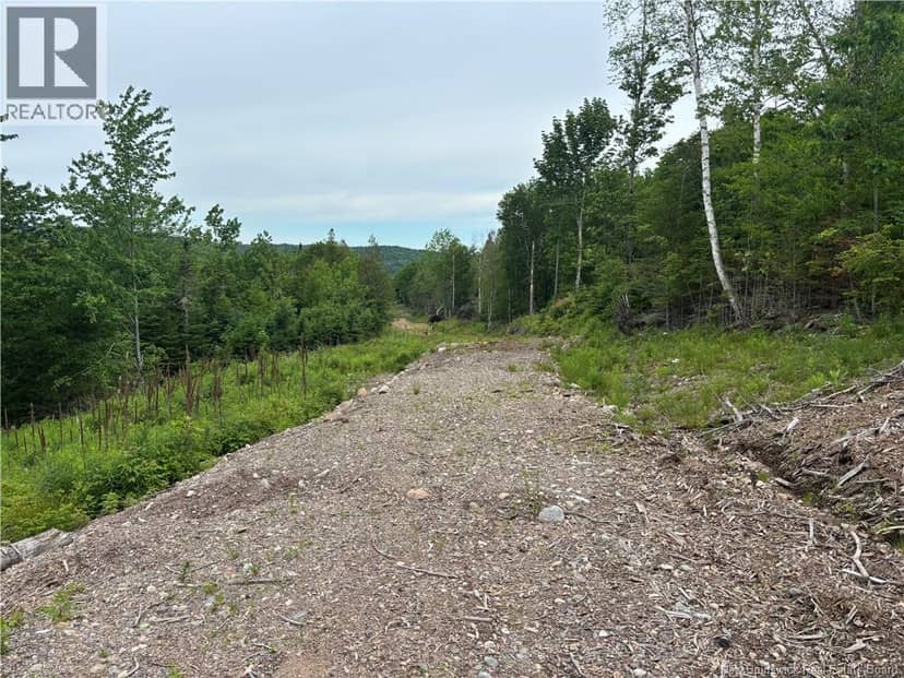 198 acres Damascus Road — photo 9 of 24