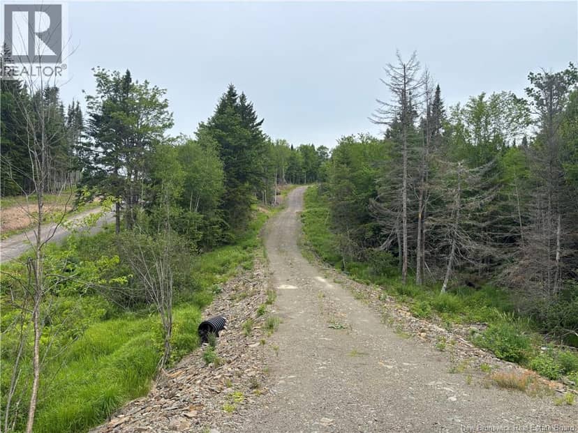 198 acres Damascus Road — photo 10 of 24